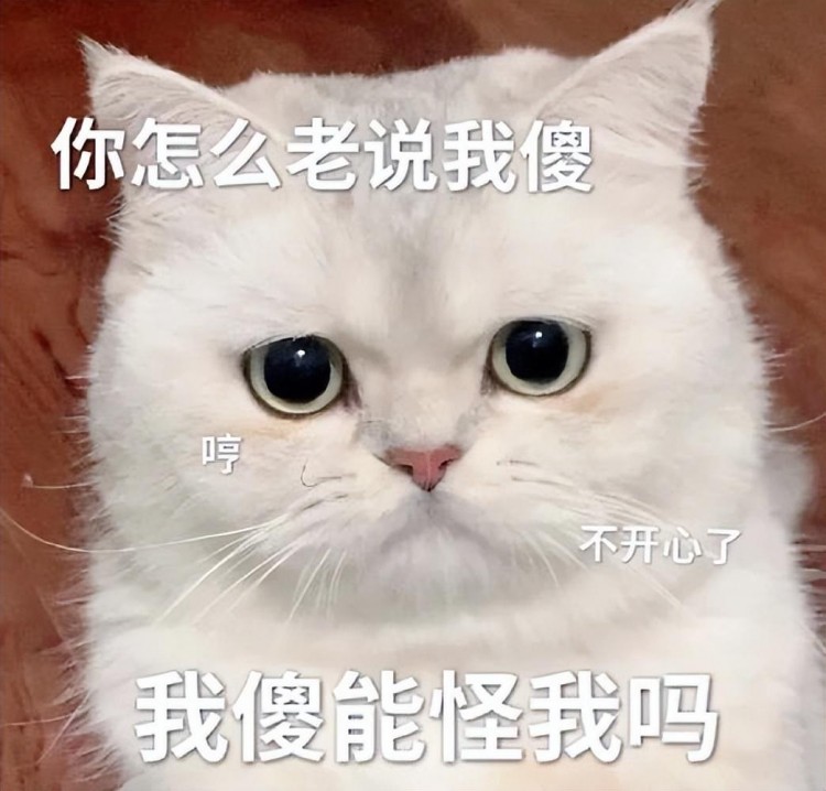 养育“公猫”好，还是养育“母猫”好？养育它，告诉你答案