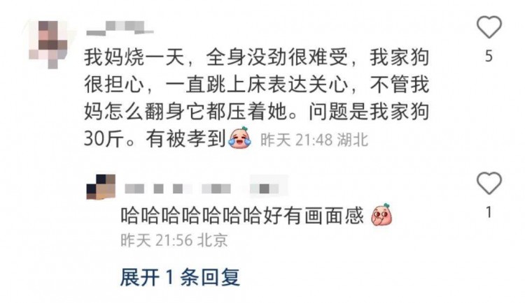 男子摘橘子找狗狗借力网友：没有一口狗粮是白吃的