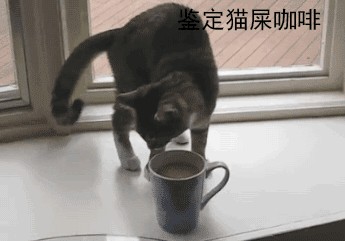 混得最差的一届猫咪：我为这个家付出了太多太多